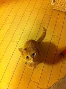 写真 (22)